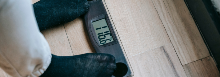 L&rsquo;Italia riconosce l&rsquo;obesit&agrave; come malattia