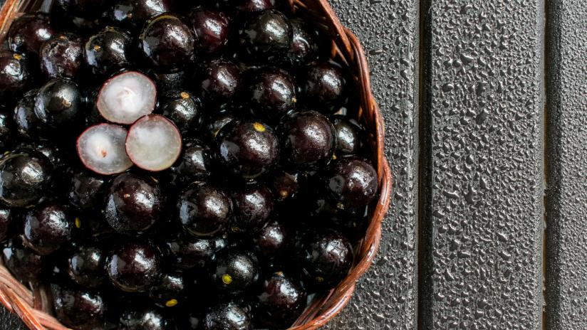 pillole per la dieta con bacche di acai