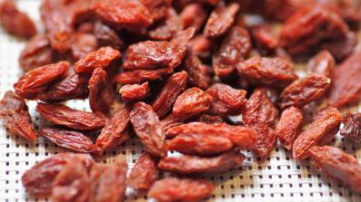 bacche di goji proprieta benefiche e valori nutrizionali