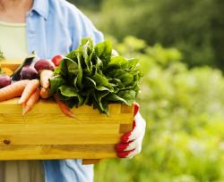 Cibo biologico: caratteristiche dei prodotti bio Cibo biologico: caratteristiche dei prodotti bio