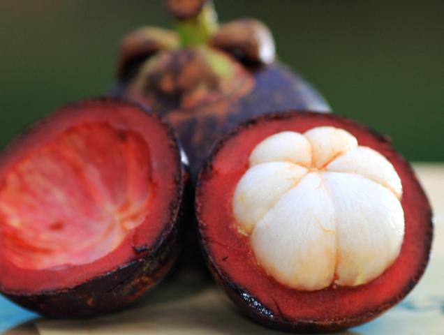 Garcinia: propriet&agrave; e controindicazioni della pianta dimagrante