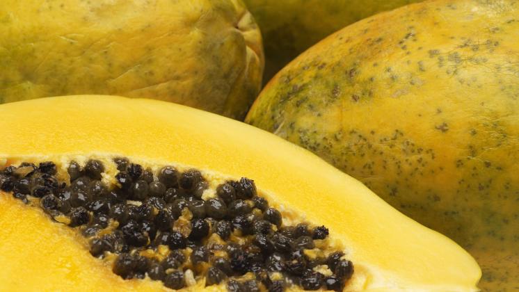 La papaia, un elisir di bellezza e salute