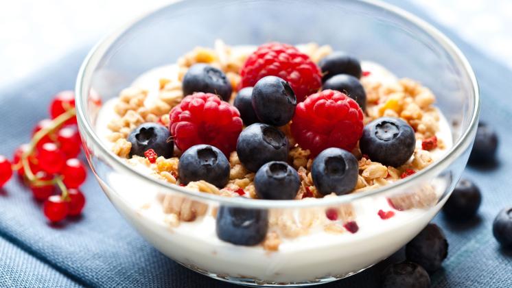 Yogurt, fermenti e probiotici: intestino in salute!