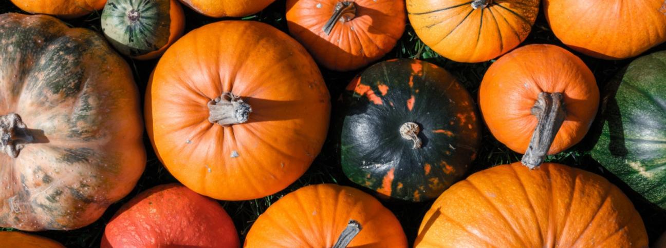 Proprietà e benefici della zucca: perché fa bene