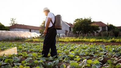 i pesticidi aumentano il rischio di diabete