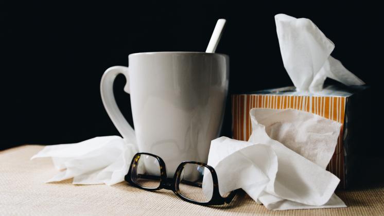 I miti da sfatare sull'influenza