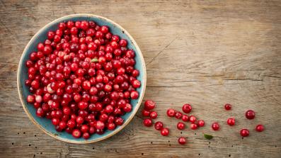 mirtillo rosso i benefici per la vista