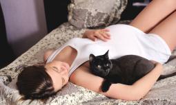 Toxoplasmosi in gravidanza: come evitarla