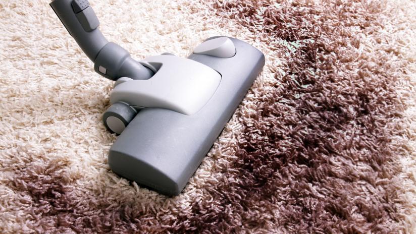 Acari della polvere e allergie: cosa fare paginemediche Polvere in casa