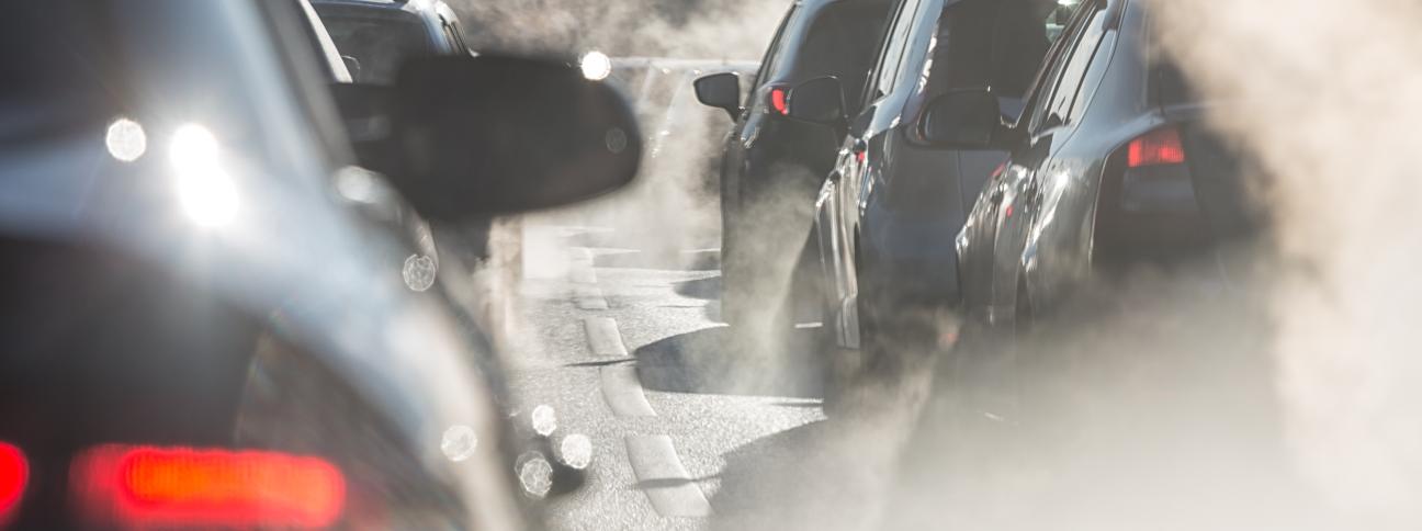 Smog e inquinamento: gli effetti nocivi sulla salute