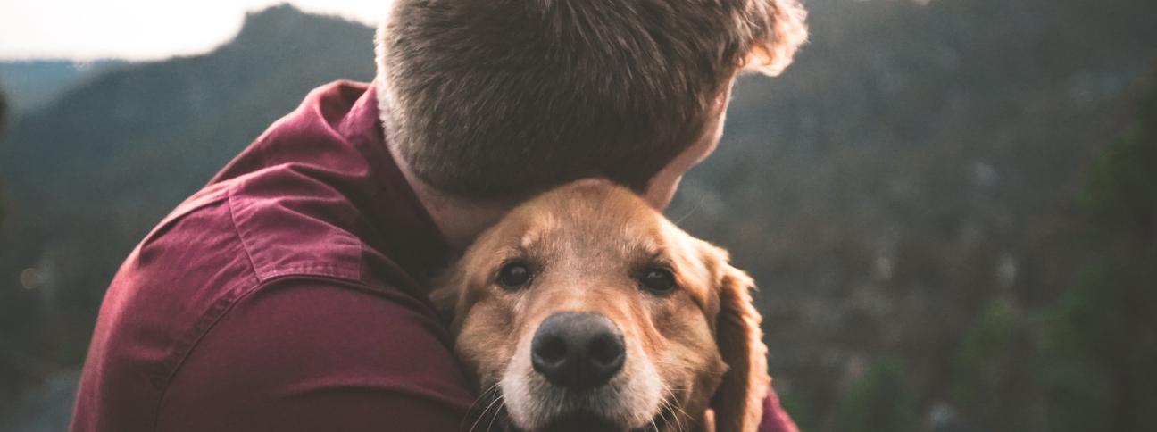 Cos'è la pet therapy e quali sono i benefici