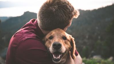 cos e la pet therapy e quali sono i benefici