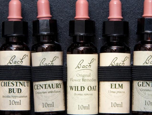 Fiori di Bach contro l'ansia: come funzionano?
