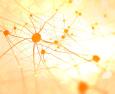 Malattie neurodegenerative: le principali patologie