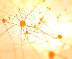 Malattie neurodegenerative: le principali patologie