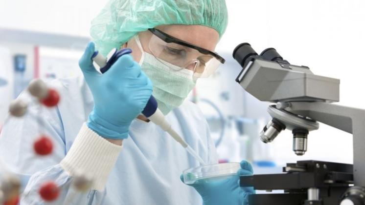 Nuove strategie terapeutiche nella Malattia di Huntington