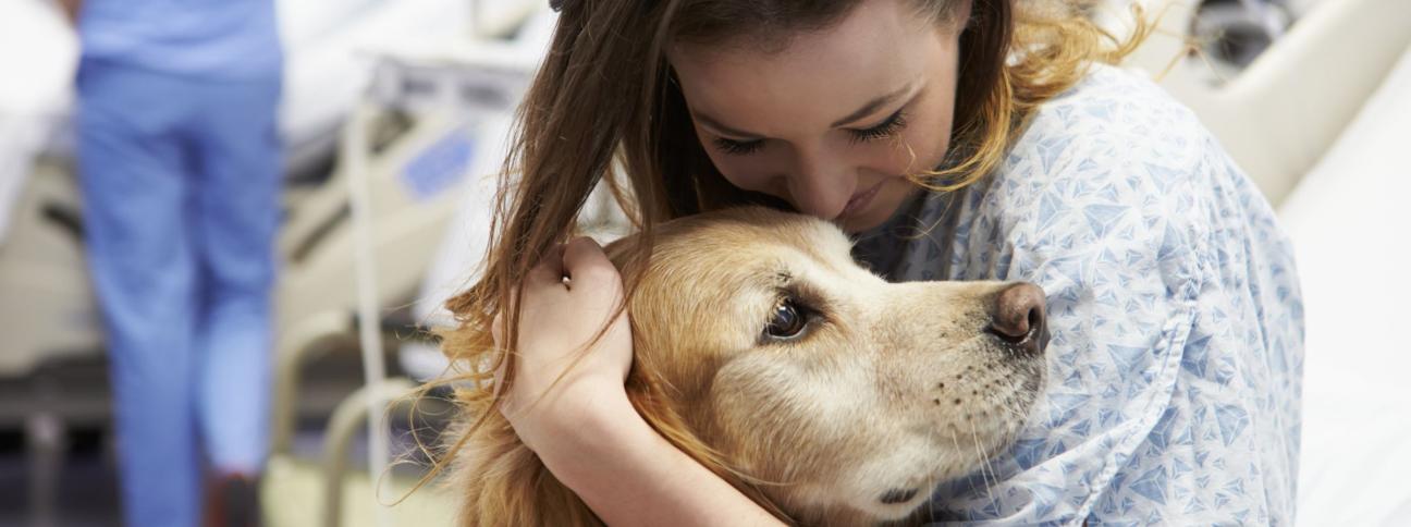 Qual è il significato della pet therapy