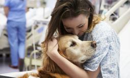 Qual è il significato della pet therapy