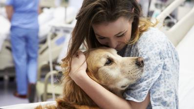 qual e il significato della pet therapy