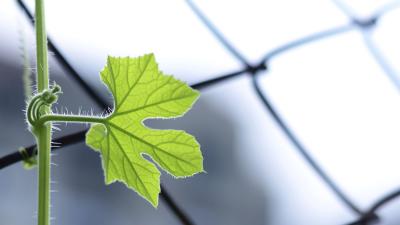 Resilienza: che cos'è e come svilupparla