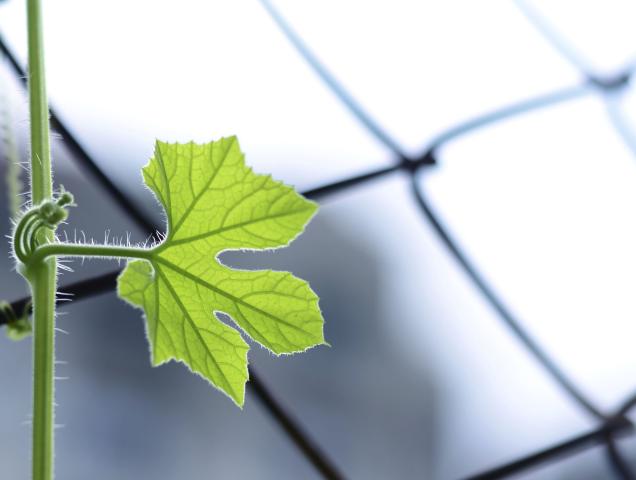 Resilienza: che cos'è e come svilupparla