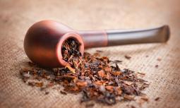 Storia del tabacco: com'è nato il vizio del fumo