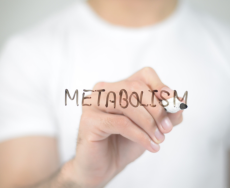 Calcolo del metabolismo basale e del fabbisogno calorico