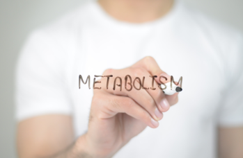 Calcolo del metabolismo basale e del fabbisogno calorico