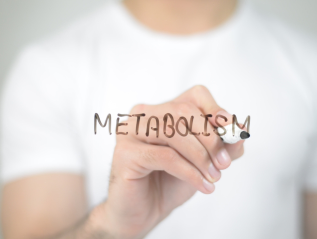 Calcolo del metabolismo basale e del fabbisogno calorico