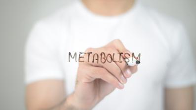 calcolo del metabolismo basale e del fabbisogno calorico