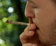 Cannabis legale: quali sono gli effetti e i rischi?