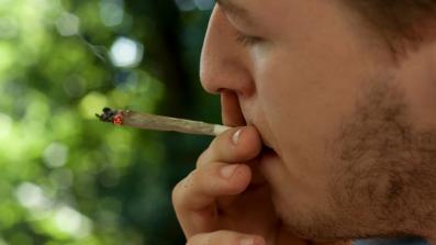 cannabis legale quali sono gli effetti e i rischi