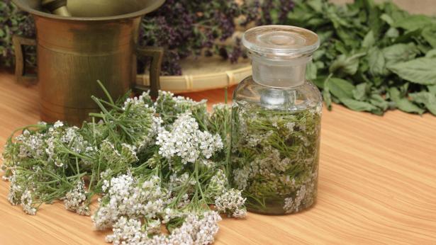 Galenica: curarsi con le piante Galenica: curarsi con le piante