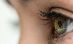 Glaucoma: i sintomi e le terapie del ladro della vista