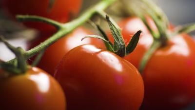 Gli alimenti che fanno bene alla prostata