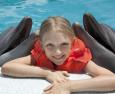 Animali marini per i bambini autistici