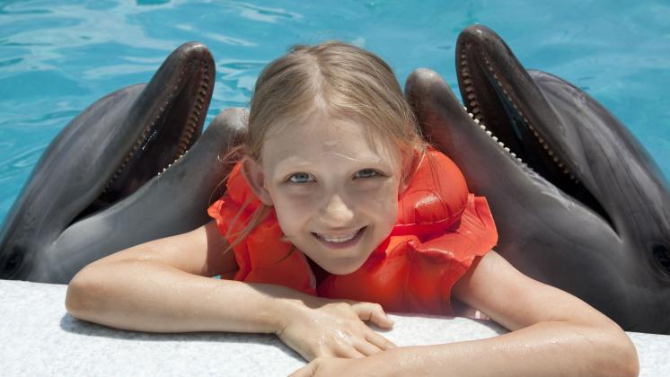 Animali marini per i bambini autistici