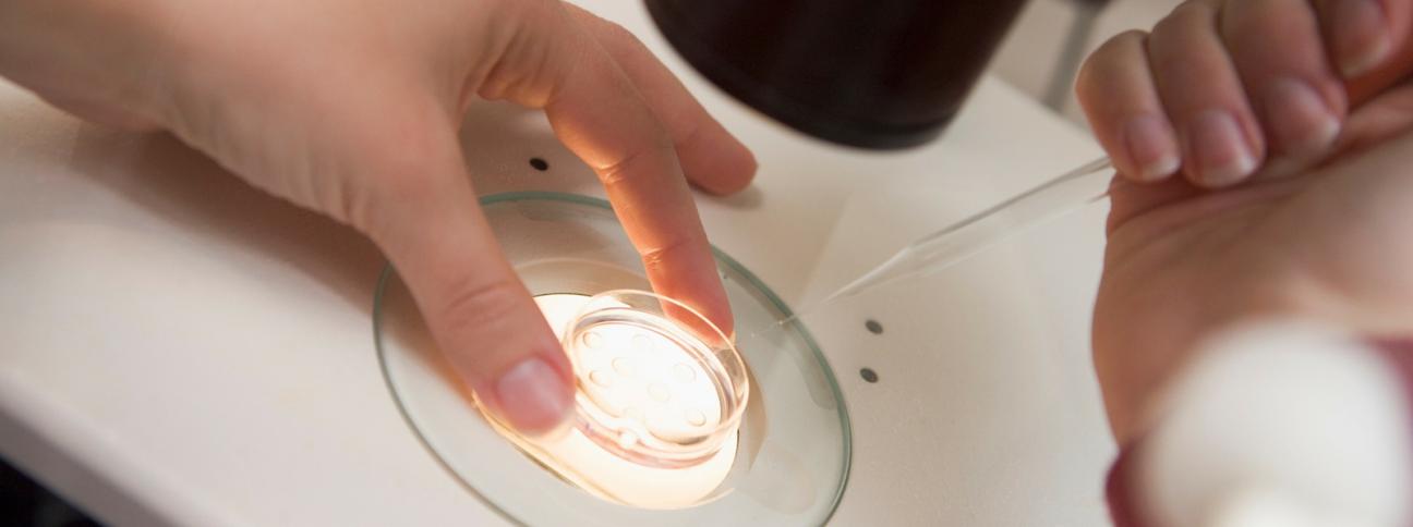 Arriva un nuovo test per combattere l'infertilità maschile