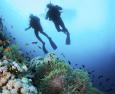 Immersioni subacquee: come evitare i pericoli della risalita 