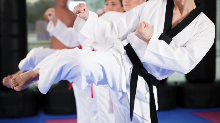 Karate, combattimento a mani nude