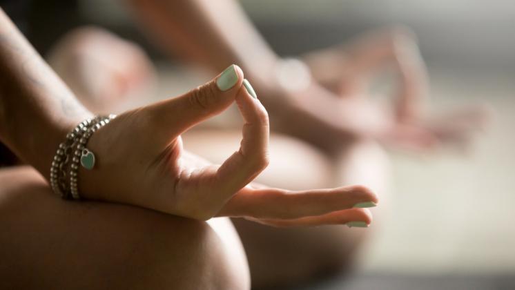 Mudra, gli esercizi yoga delle mani