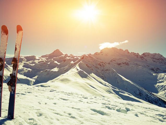 Sci: i benefici per il corpo e l'organismo