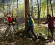 Trekking: benefici e consigli 