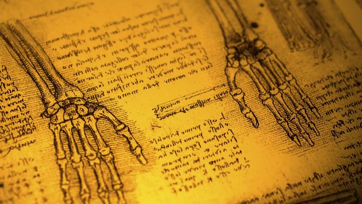 Andrea Vesalio e l'anatomia umana
