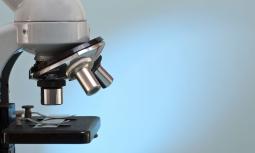 Microscopio: storia di un'invenzione rivoluzionaria