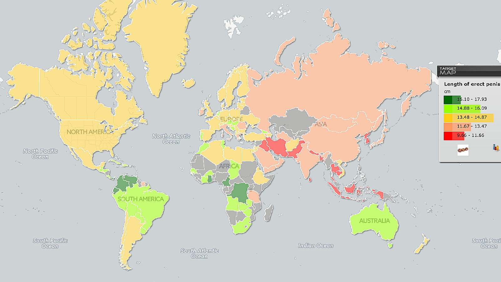 How big is the average penis