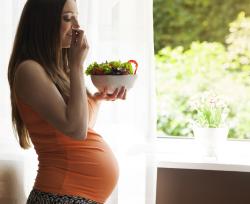 Alimentazione in gravidanza Alimentazione in gravidanza