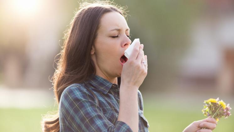 Allergie respiratorie: sintomi e cure