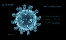 Infezione da coronavirus Covid-19: sintomi e trasmissione