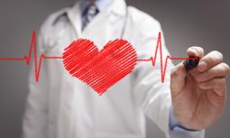 Malattie cardiovascolari: diagnosi, terapia e prevenzione